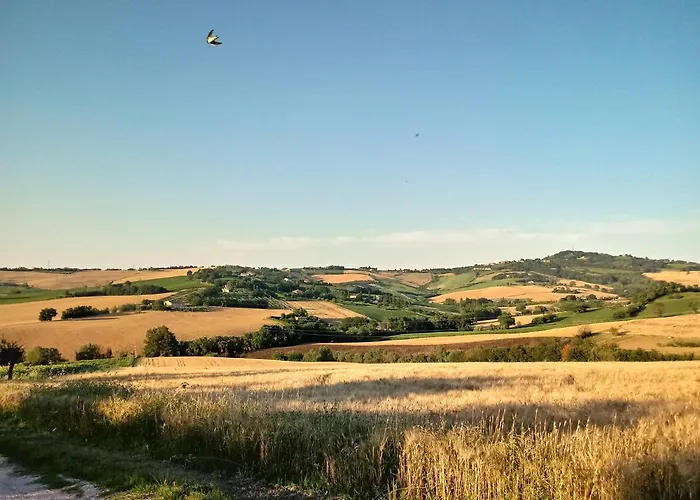 卡塞塔住宿加早餐旅馆 3*